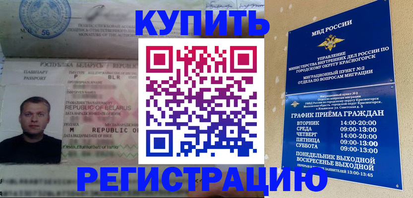 прописка законно в Луге